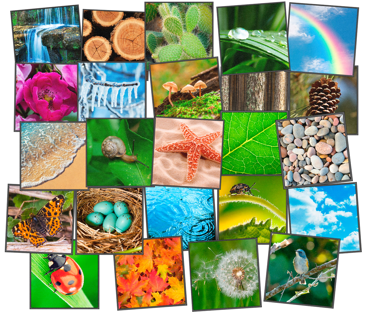 Nature Photo Seating Squares (Set of 24)