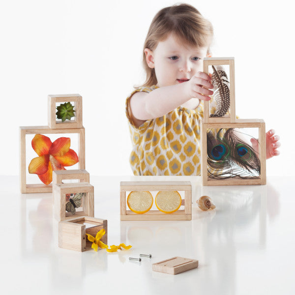 Treasure Blocks (Clear)