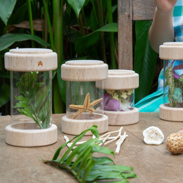 Treasure Tubes (Clear)