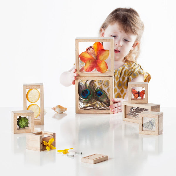 Treasure Blocks (Clear)