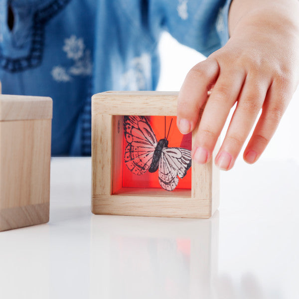 Treasure Blocks (Color)