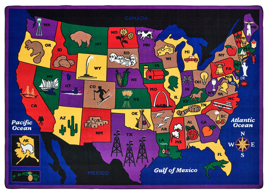 Discover America USA Map Classroom Rug