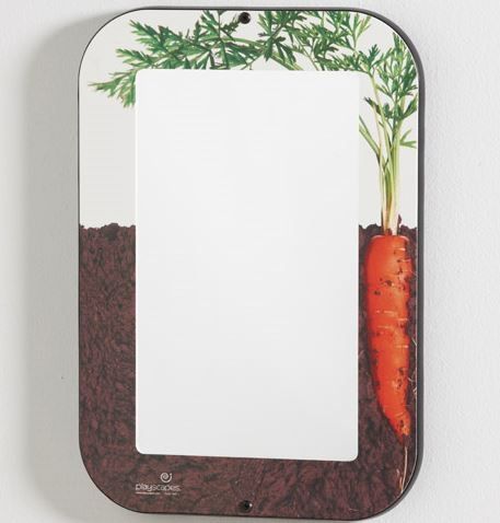 Themed Framed Acrylic Safety Mirror by Playscapes