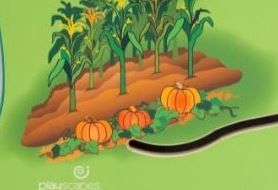 Animal Farm Match-Up Wall Activity by Playscapes