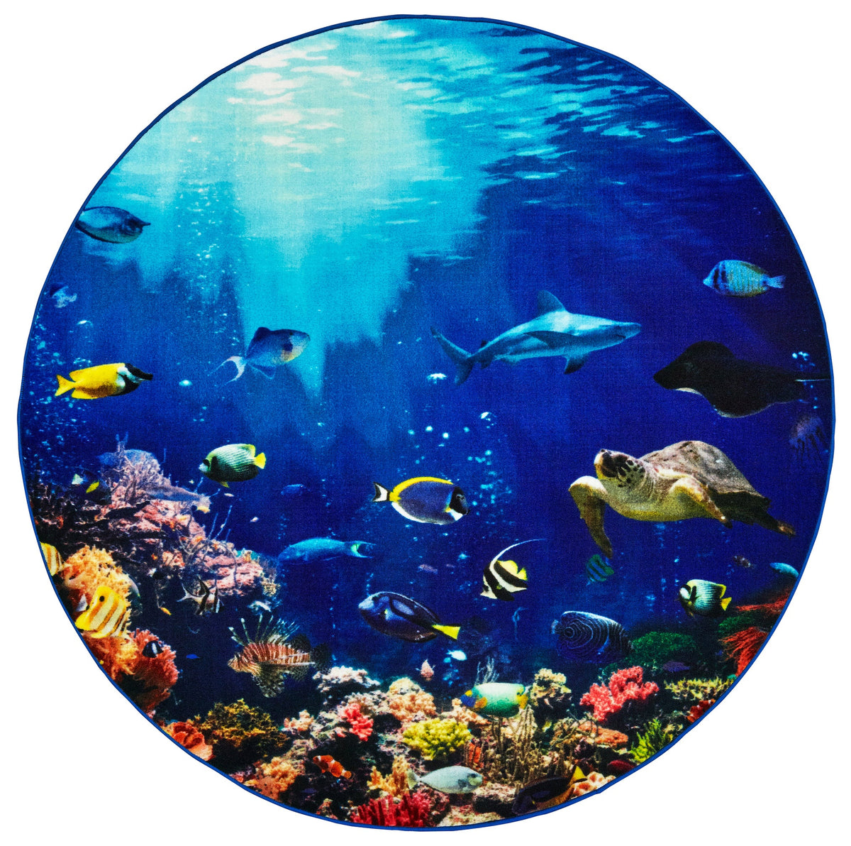 Explore the Ocean Classroom Rug, view 3