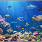 Explore the Ocean Classroom Rug