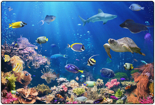 Explore the Ocean Classroom Rug