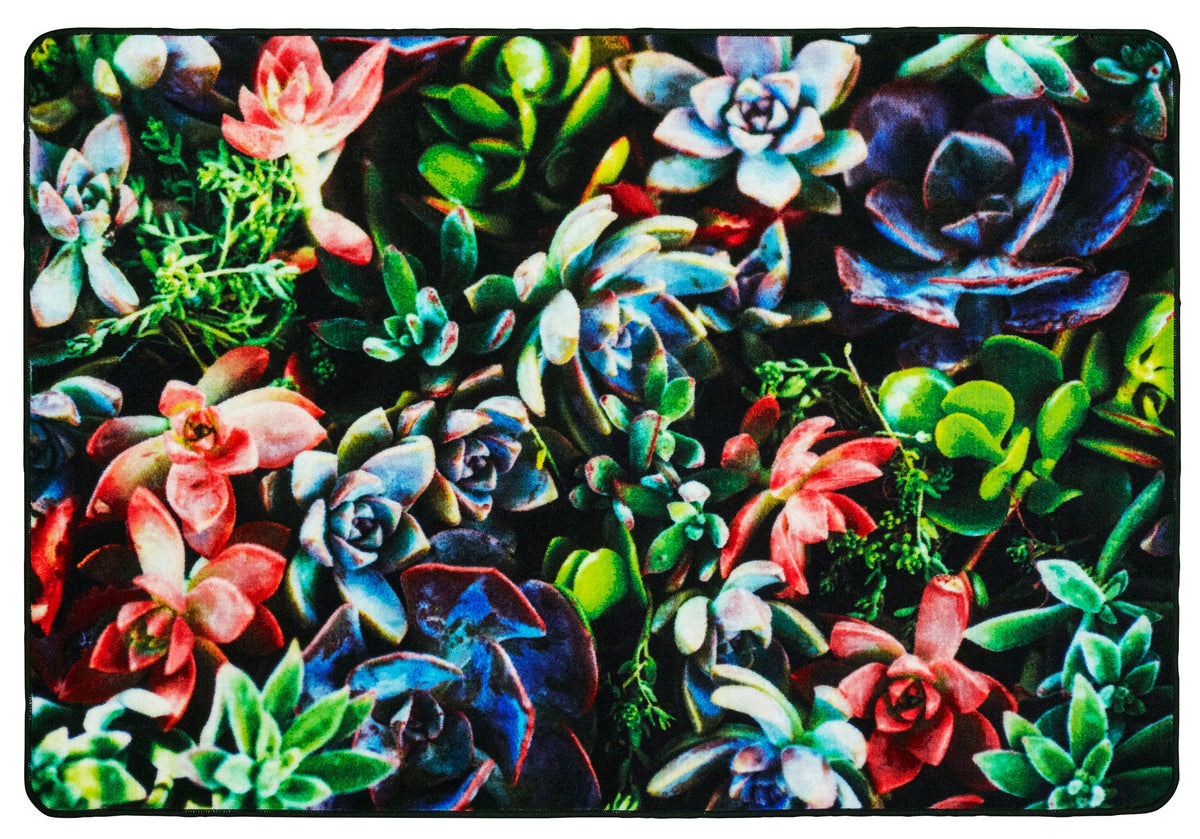 Succulent Garden Classroom Rug