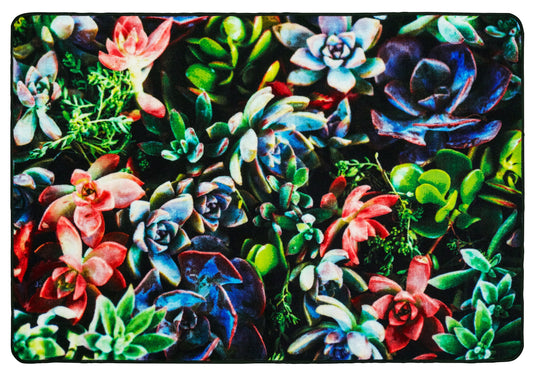 Succulent Garden Classroom Rug