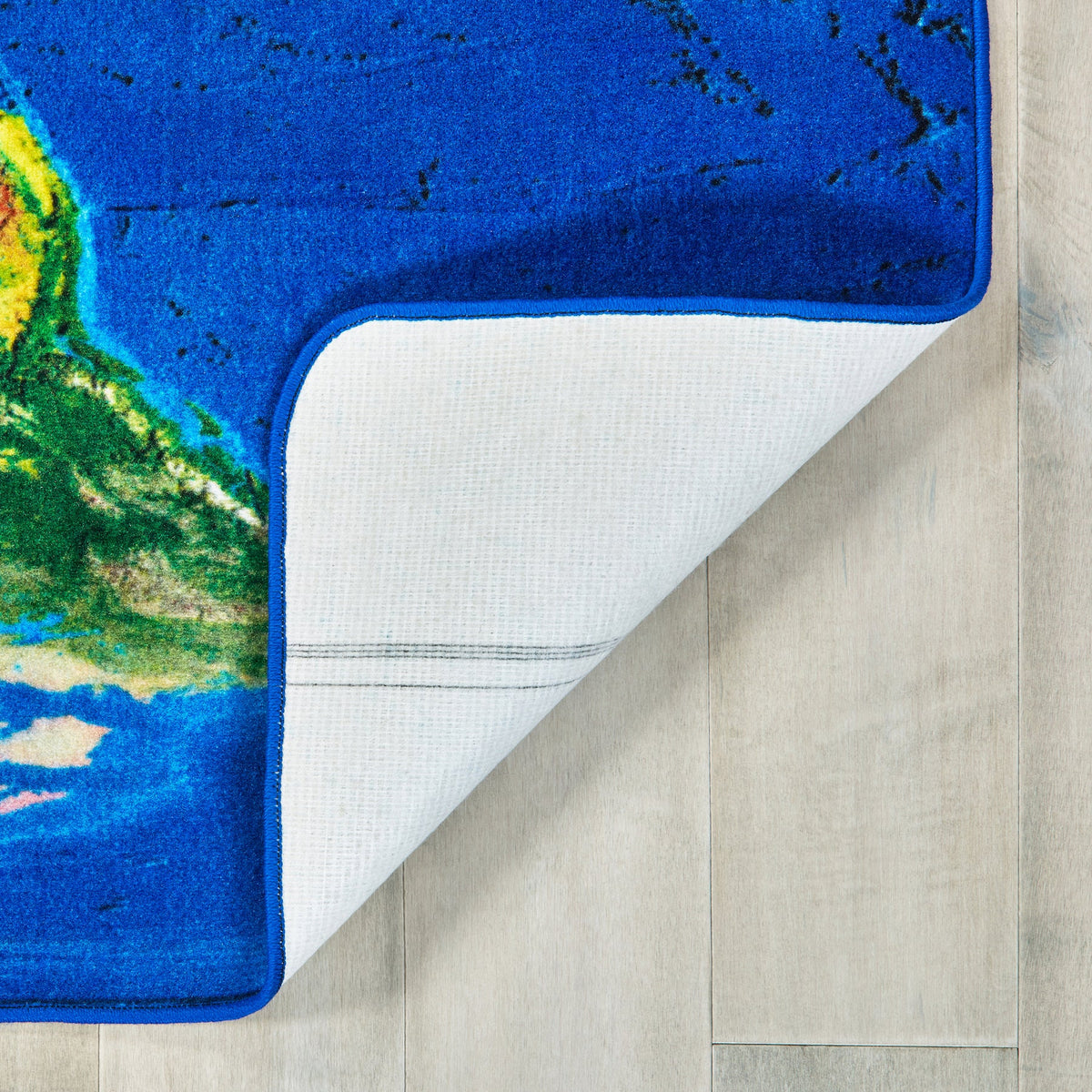 Photo Real Earth Map Classroom Rug, view 4