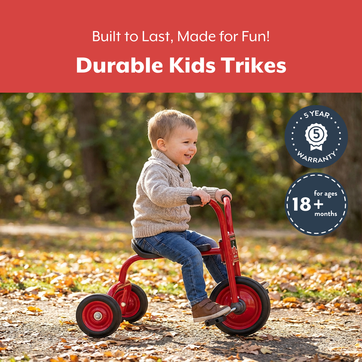 Beginner Pedal Pusher Trike, view 10