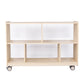 Mobile 29" H 2-Shelf Storage with Clear Back - Assembled