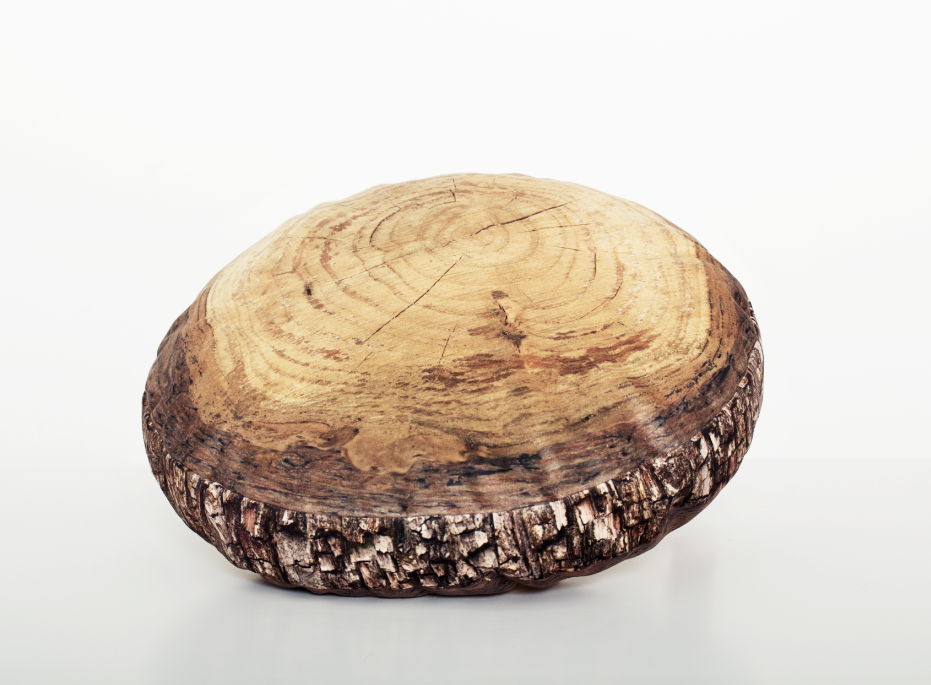 Log Slice Floor Cushion, 31½ in by Woodsmen