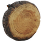 Log Slice Floor Cushion, 15¾ in by Woodsmen