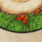Counting Tree Stump Seat Spots, view 4