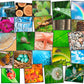 Nature Photo Seating Squares (Set of 24)