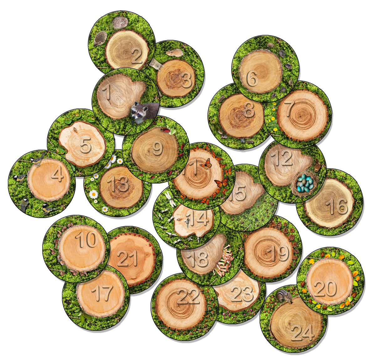 Counting Tree Stump Seat Spots, view 5