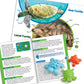 Textured Turtle Counters Math Set – Classroom Pack, view 2