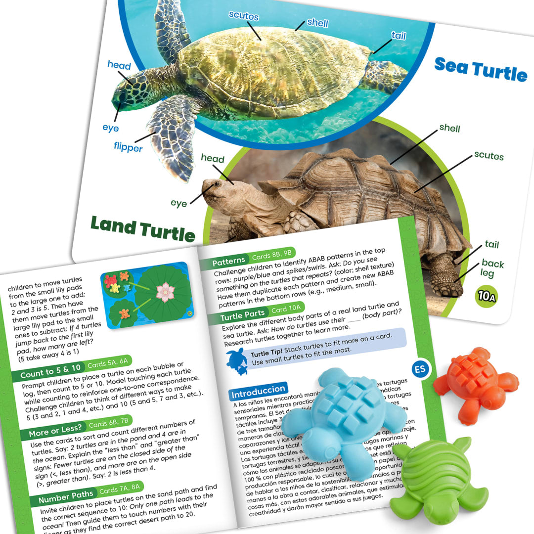 Textured Turtle Counters Math Set – Classroom Pack, view 2