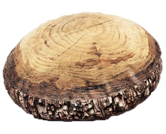 Log Slice Floor Cushion, 15¾ in by Woodsmen