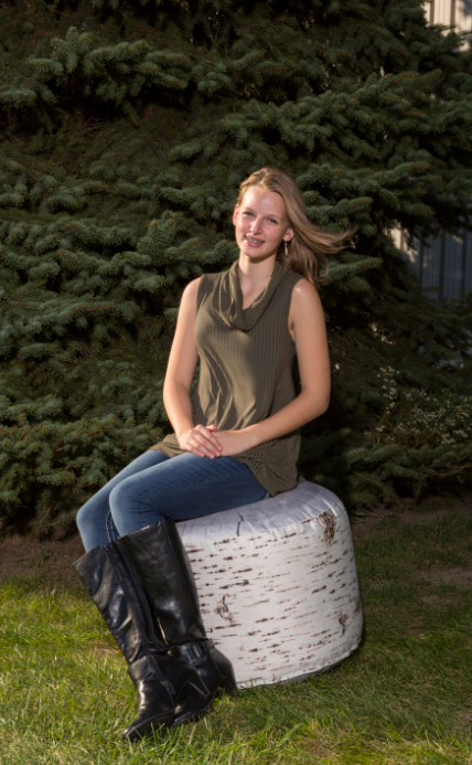Wide Tree Stump Seat by Woodsmen