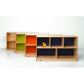 Whitney Plus Cabinet (Green)