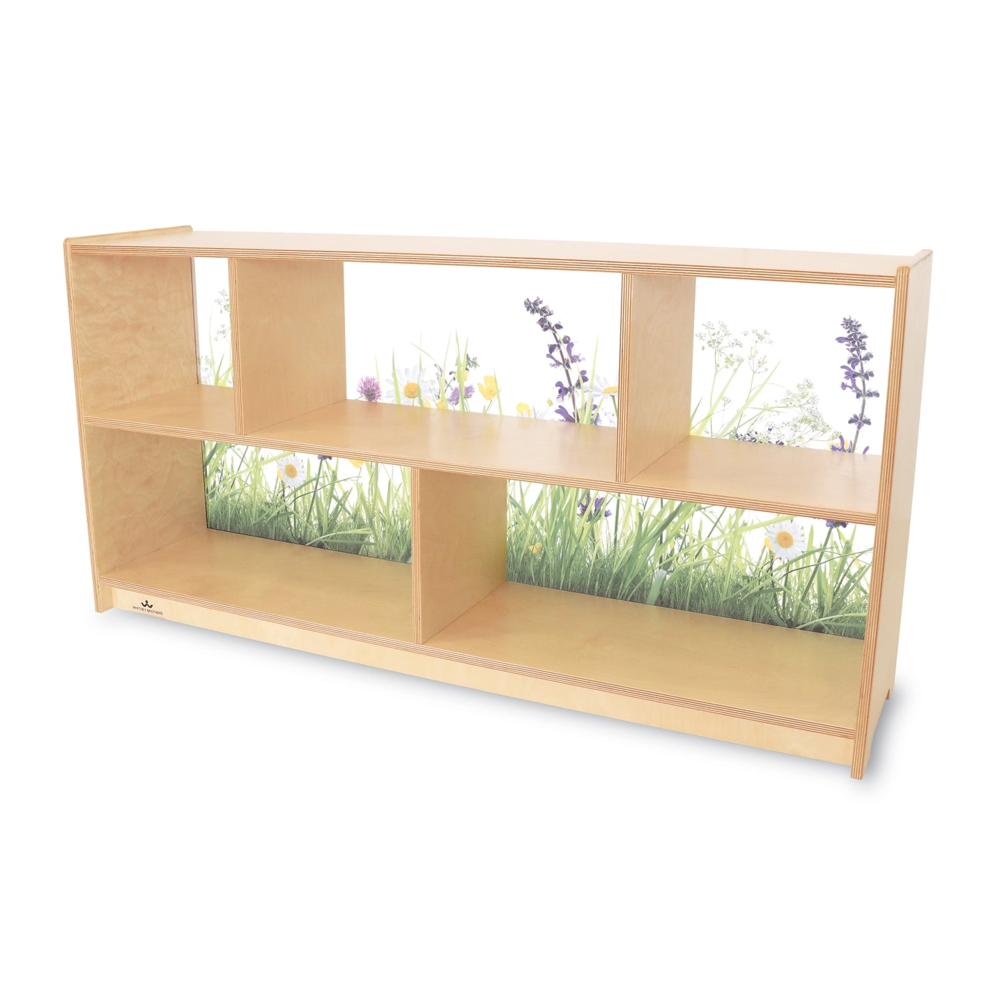 Nature View 24" Acrylic Back Cabinet