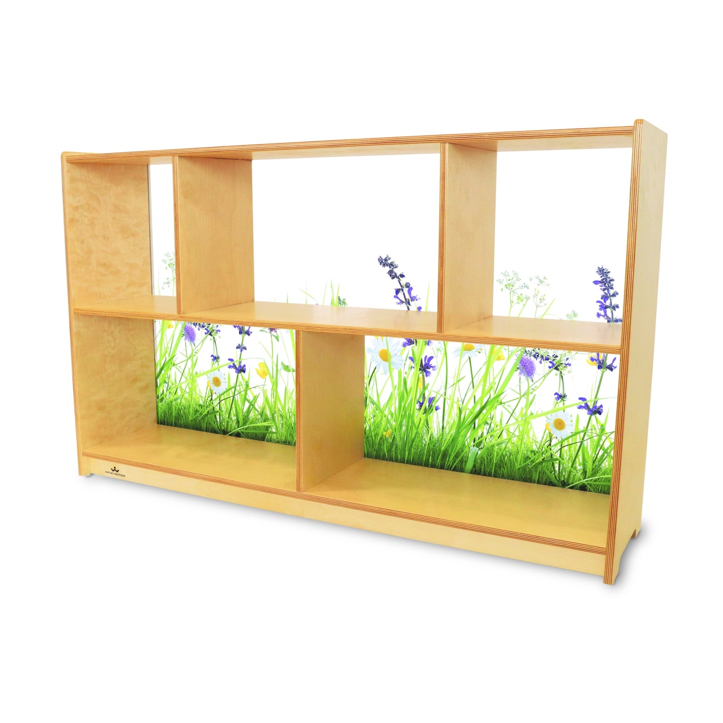 Nature View 30" Acrylic Back Cabinet