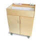 EZ Access Mobile Changing Cabinet
