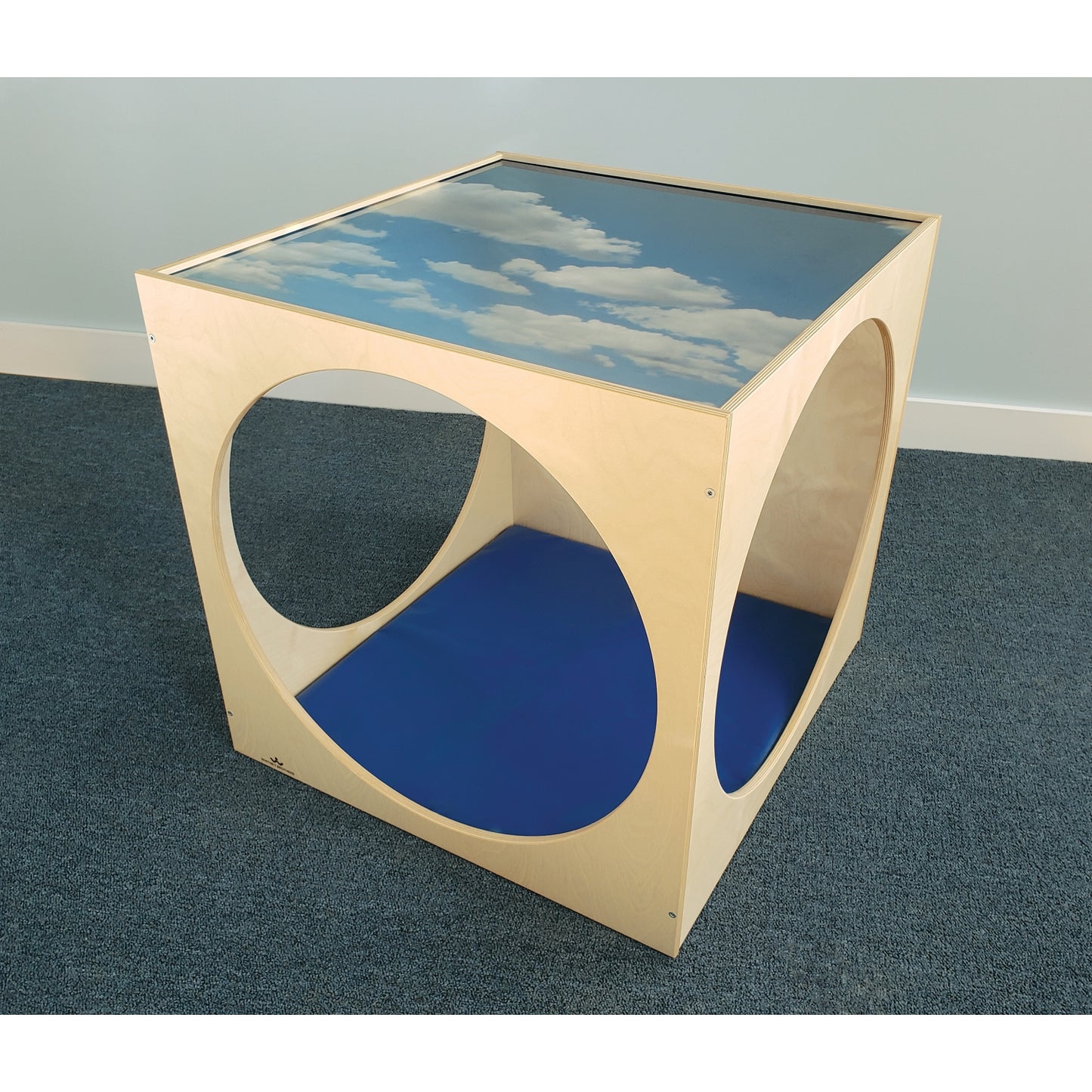 Acrylic Sky Top Playhouse Cube With Floor Mat