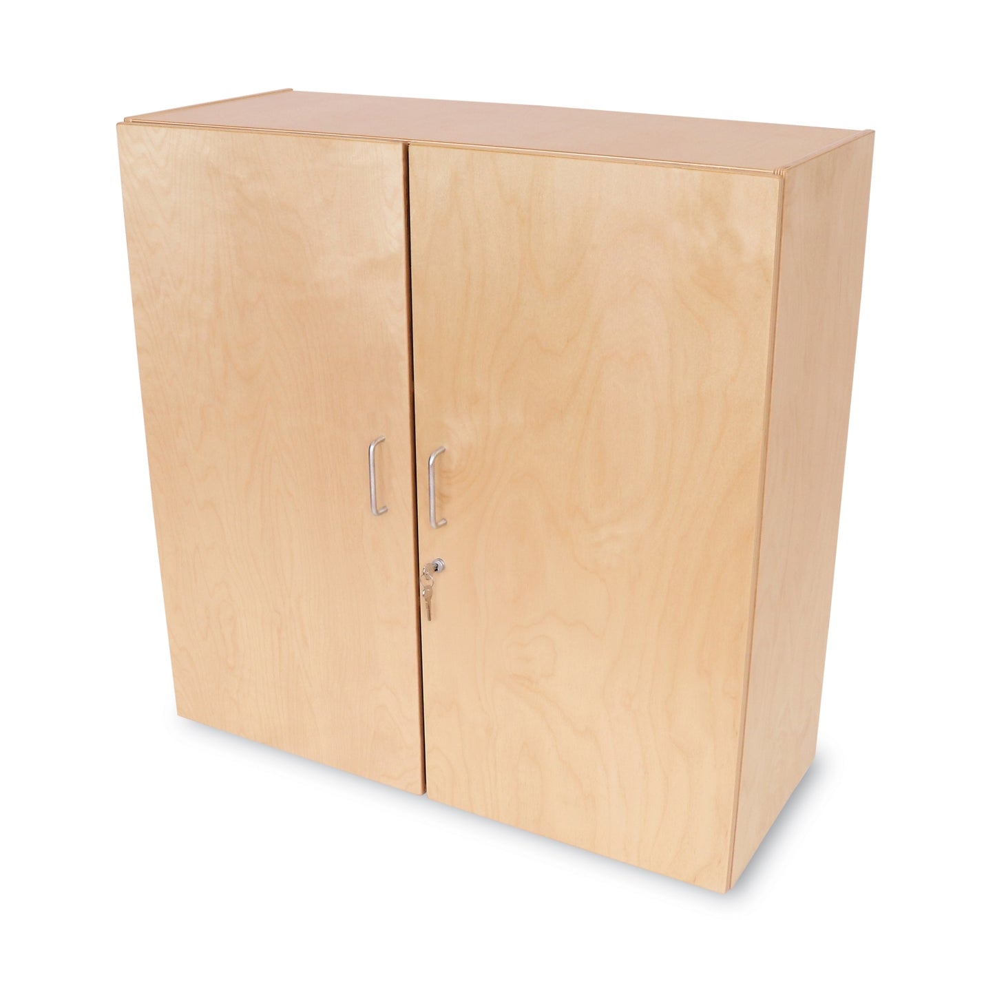 Lockable Wall Mounted Cabinet