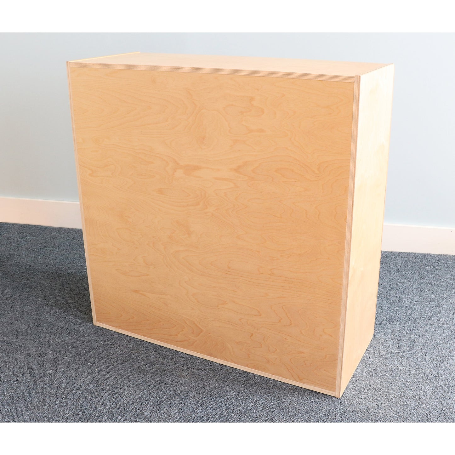 Lockable Wall Mounted Cabinet