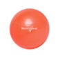 18" Balance Ball Chair