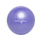 22" Balance Ball Chair