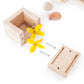Treasure Blocks (Clear)
